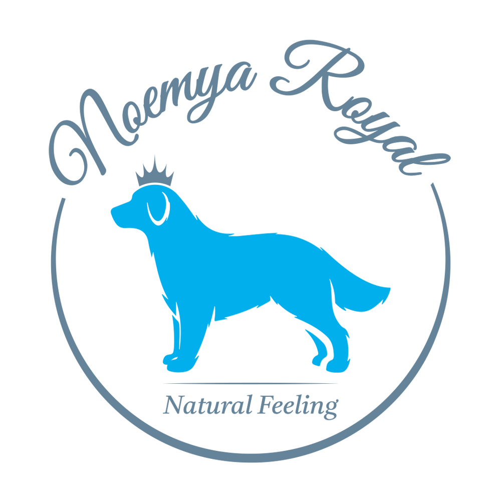 Logo Noemya Royal