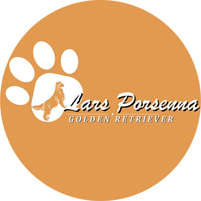 Logo Golden Lars